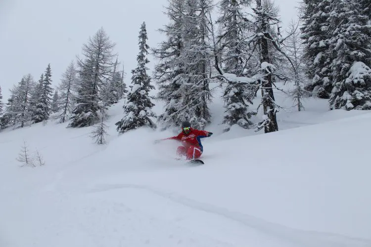 Abfahrt durch den verschneiten Wald